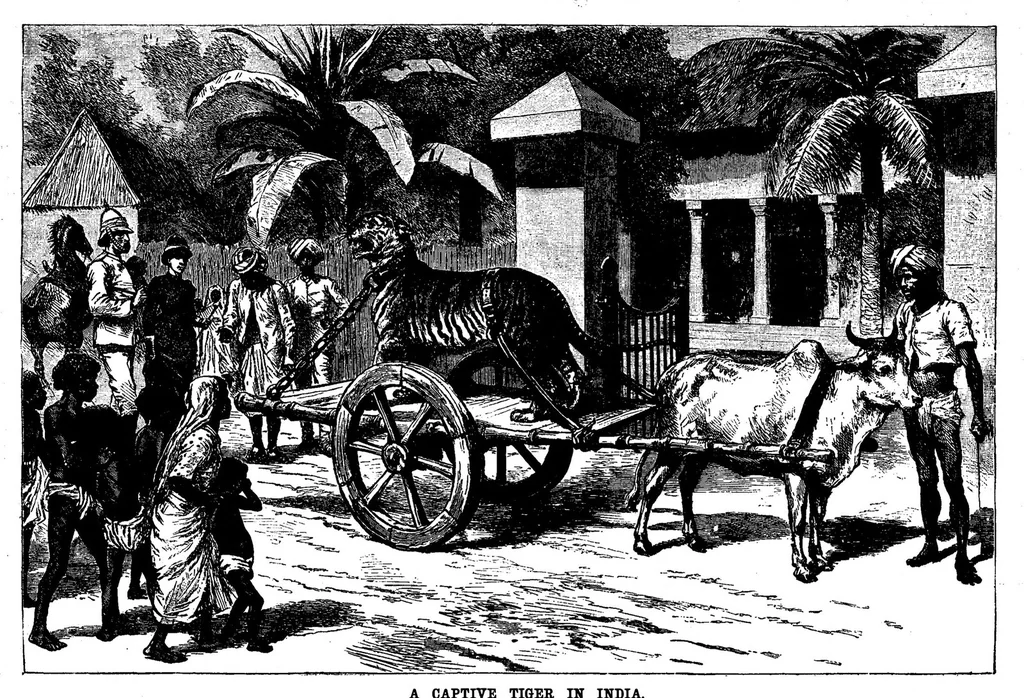 An illustration from Scientific American, Vol. 69, No. 14 (1893), 1893, leaf 10
