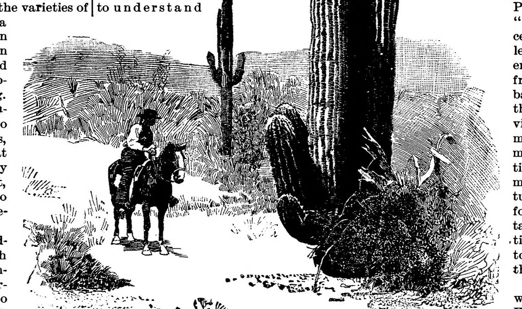 An illustration from Scientific American, Vol. 69, No. 17 (1893), 1893, leaf 9