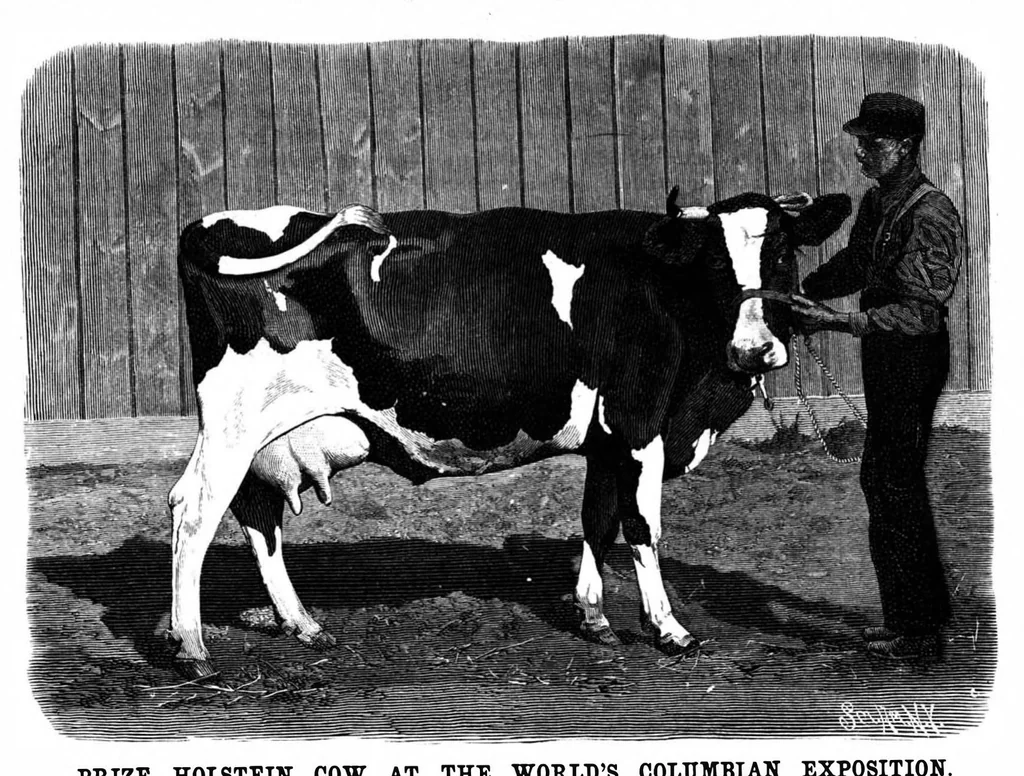 An illustration from Scientific American, Vol. 69, No. 18 (1893), 1893, leaf 8
