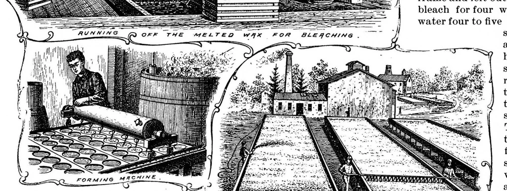 An illustration from Scientific American, Vol. 69, No. 19 (1893), 1893, leaf 8