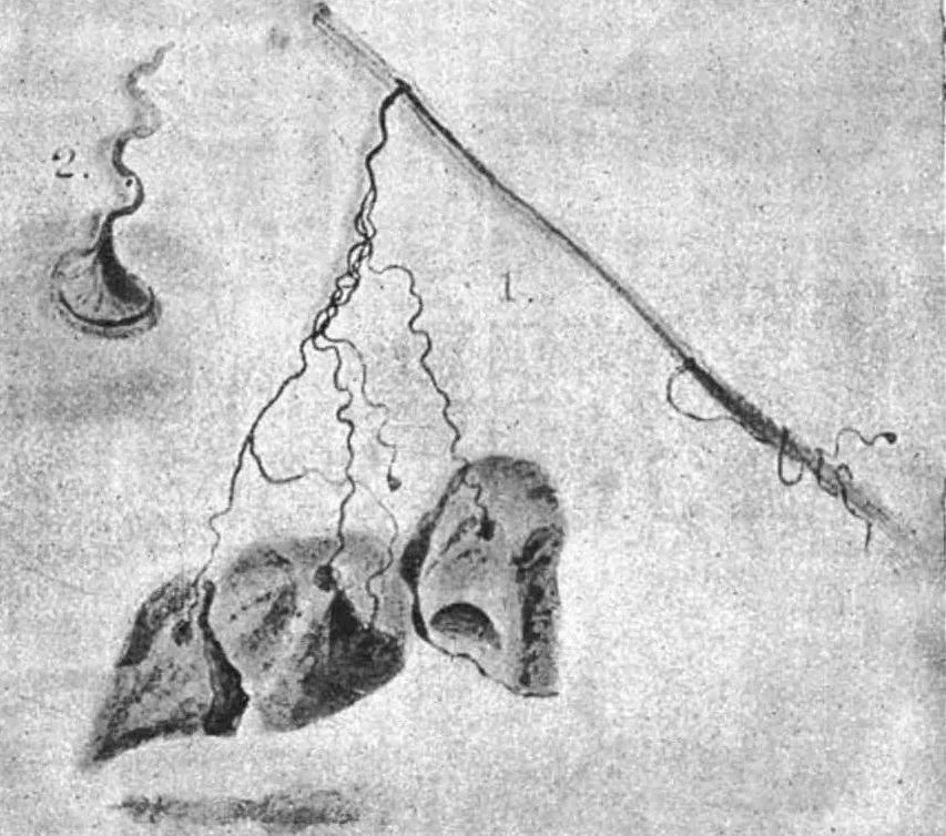 An illustration from Scientific American, Vol. 69, No. 27 (1893), 1893, leaf 5