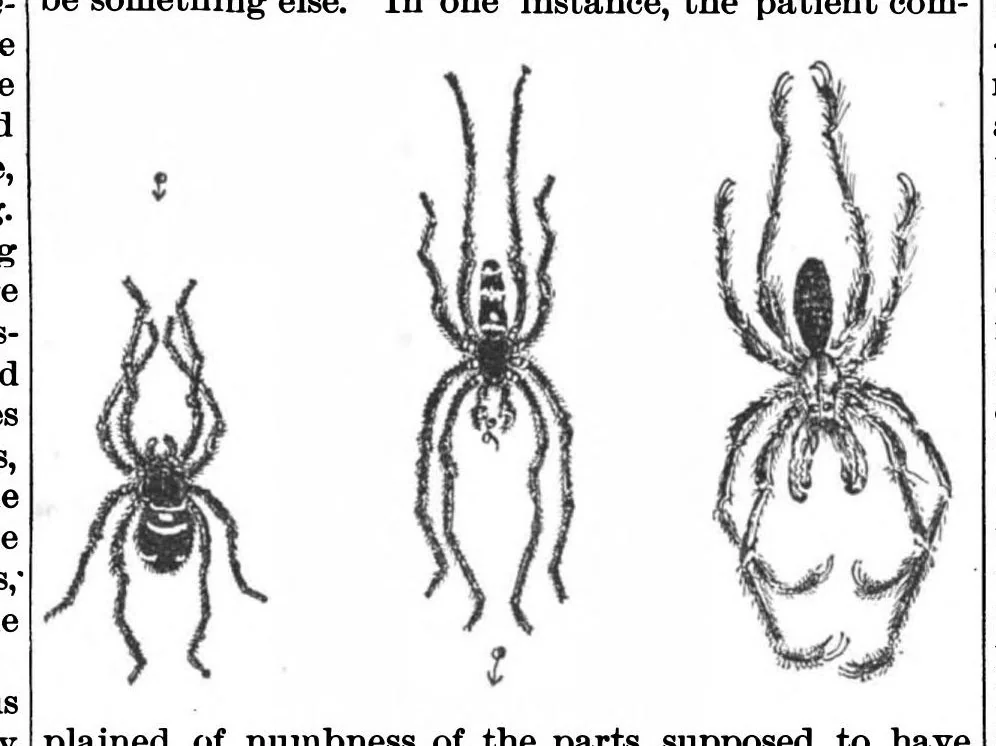 An illustration from Scientific American, Vol. 70, No. 3 (1894), 1894, leaf 6