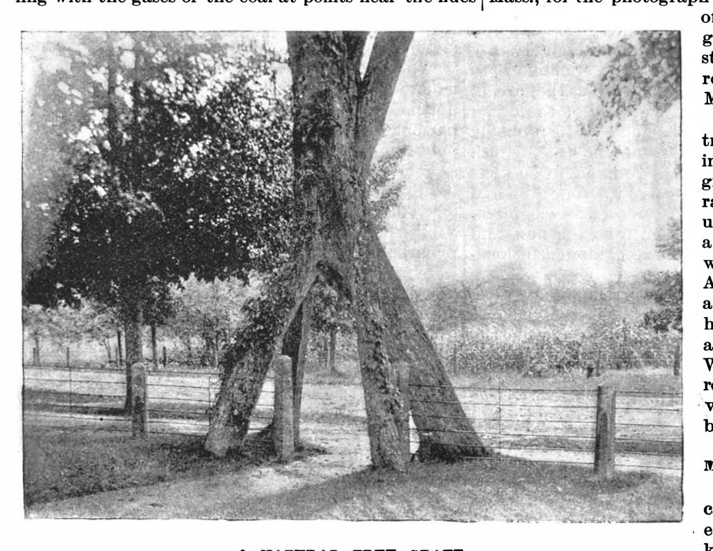 An illustration from Scientific American, Vol. 70, No. 10 (1894), 1894, leaf 3