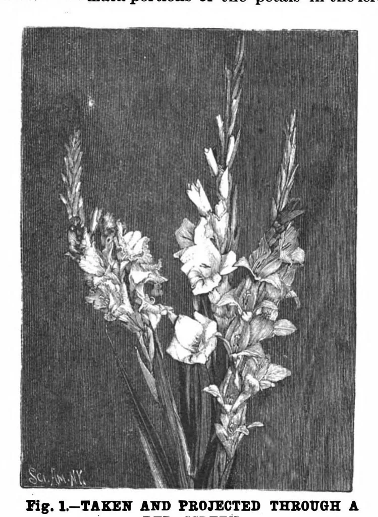 An illustration from Scientific American, Vol. 70, No. 11 (1894), 1894, leaf 8