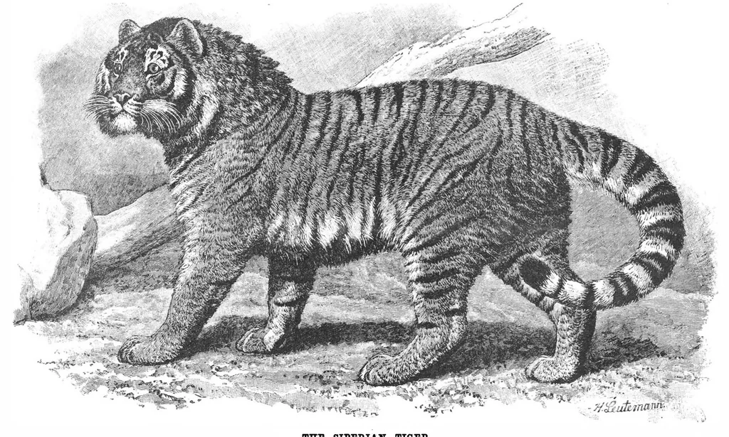 An illustration from Scientific American, Vol. 70, No. 13 (1894), 1894, leaf 10