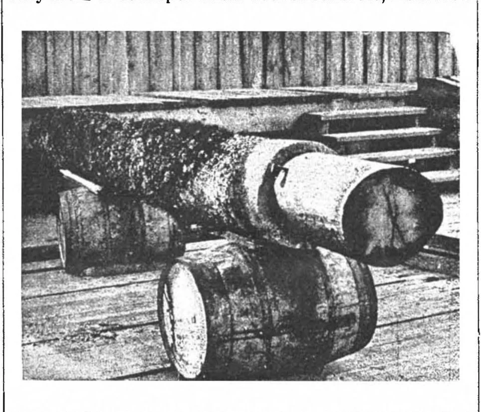 An illustration from Scientific American, Vol. 70, No. 21 (1894), 1894, leaf 9