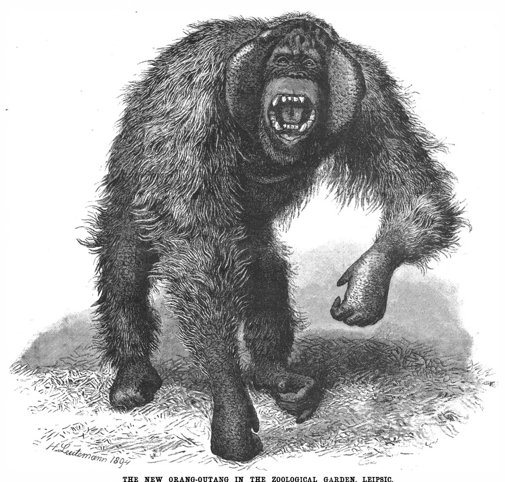 An illustration from Scientific American, Vol. 70, No. 22 (1894), 1894, leaf 8
