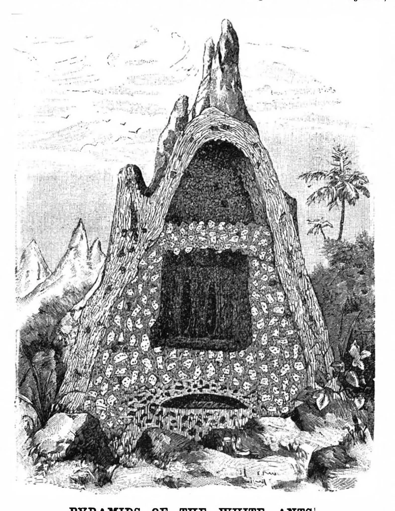 An illustration from Scientific American, Vol. 71, No. 1 (1894), 1894, leaf 8
