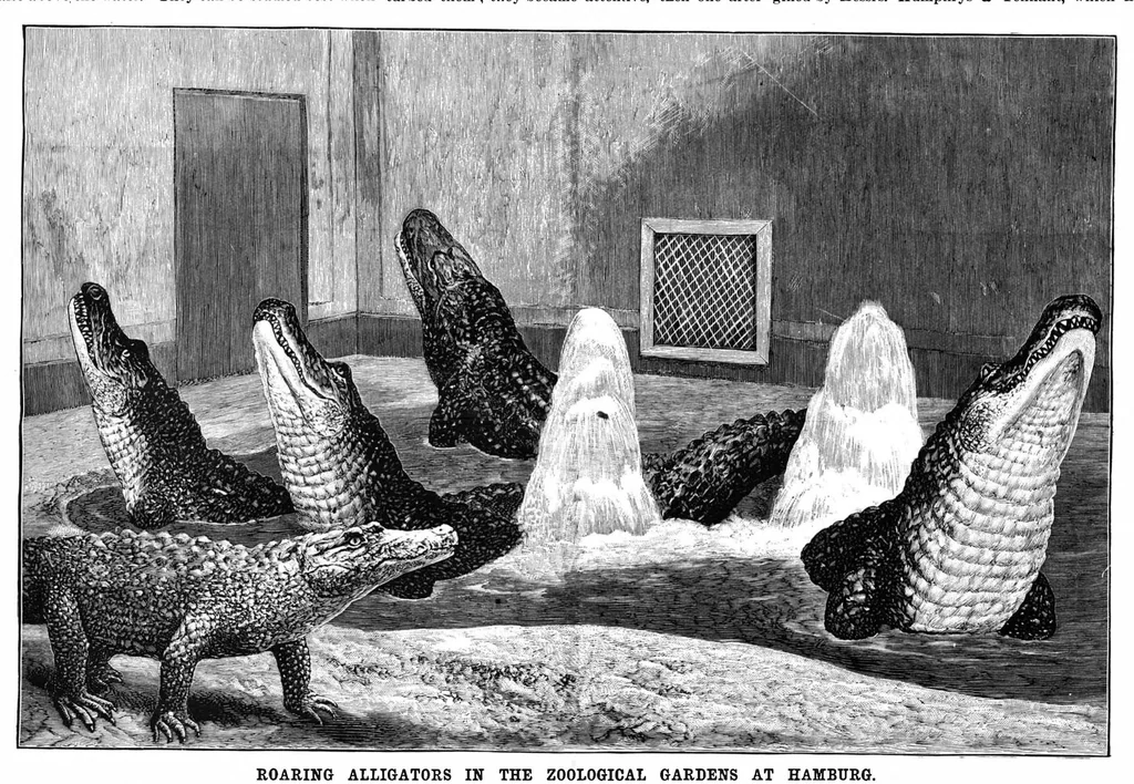 An illustration from Scientific American, Vol. 71, No. 3 (1894), 1894, leaf 8