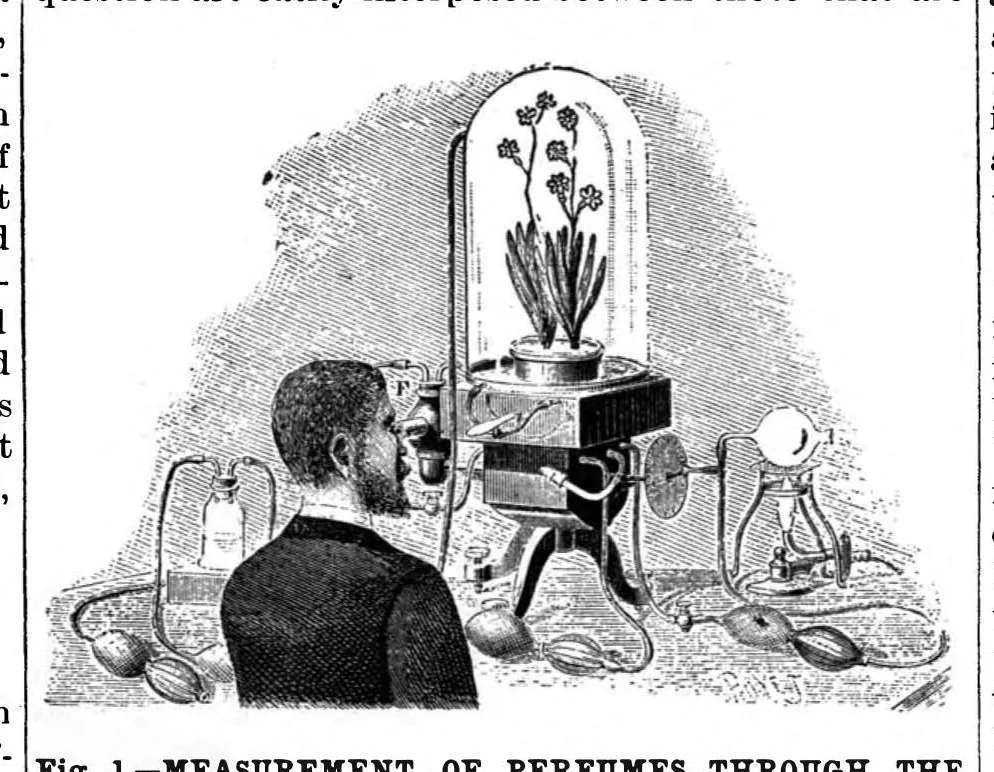 An illustration from Scientific American, Vol. 71, No. 5 (1894), 1894, leaf 10