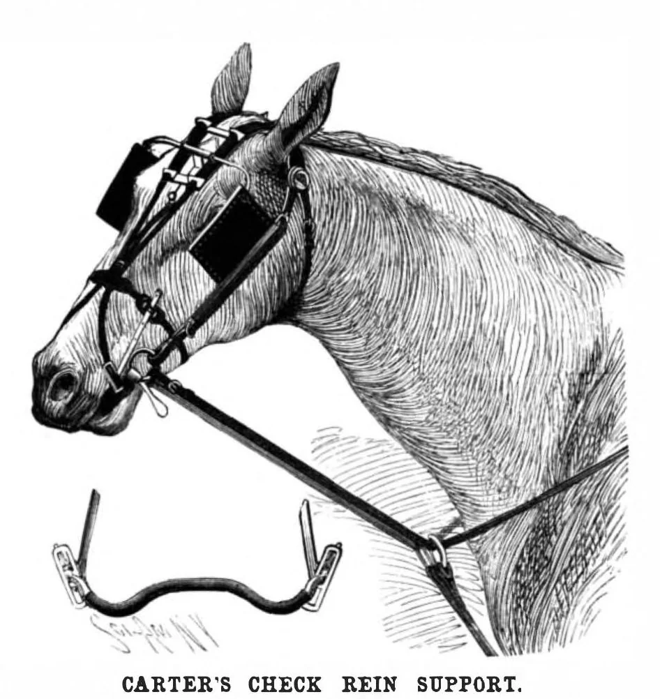 An illustration from Scientific American, Vol. 71, No. 6 (1894), 1894, leaf 3