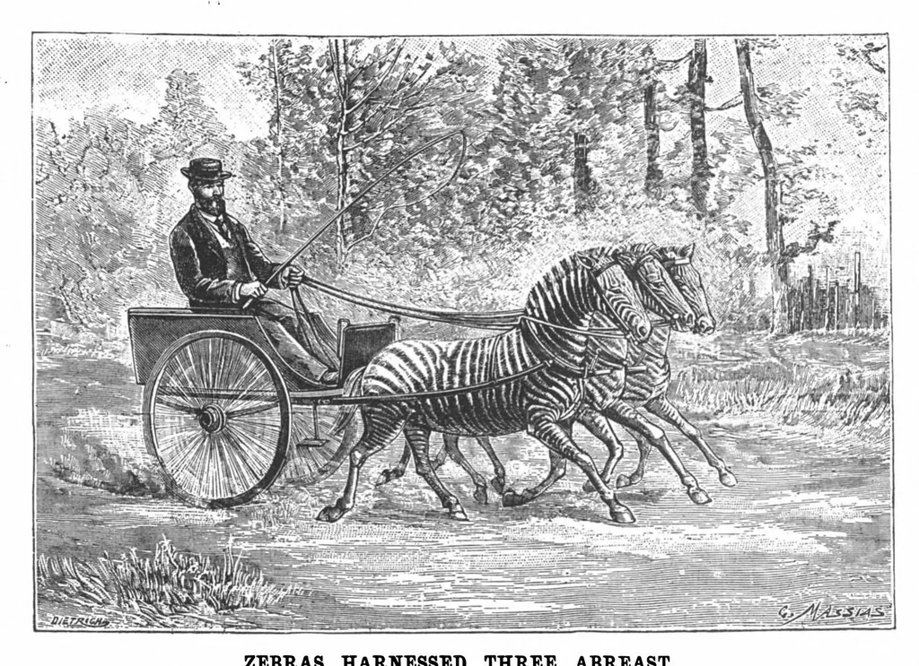 An illustration from Scientific American, Vol. 71, No. 16 (1894), 1894, leaf 10