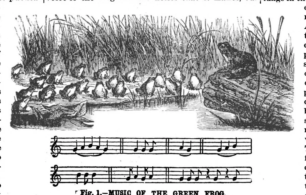An illustration from Scientific American, Vol. 71, No. 16 (1894), 1894, leaf 3
