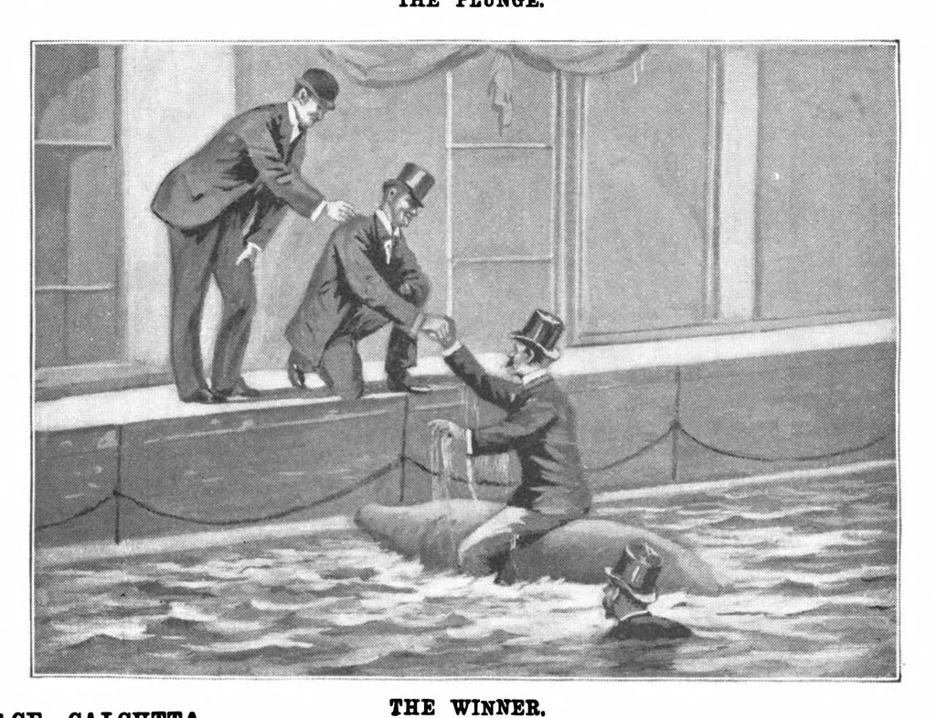 An illustration from Scientific American, Vol. 71, No. 19 (1894), 1894, leaf 8