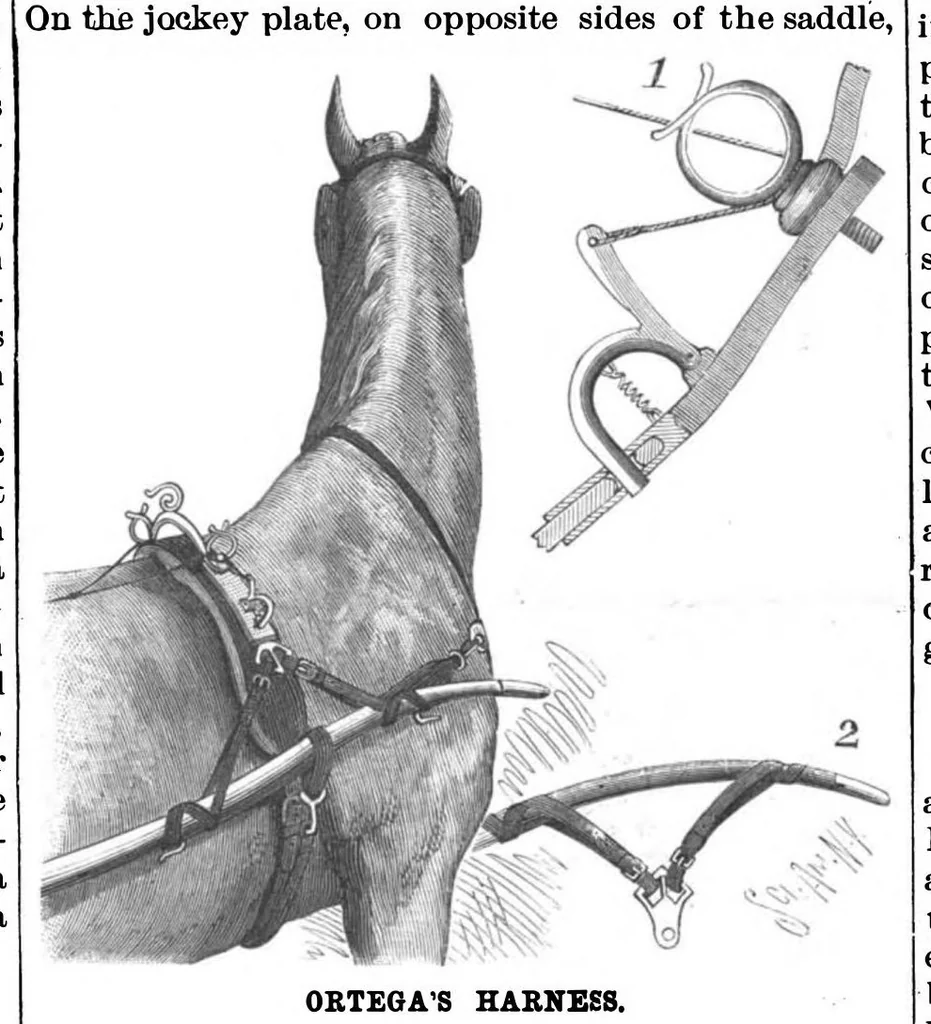 An illustration from Scientific American, Vol. 71, No. 19 (1894), 1894, leaf 9