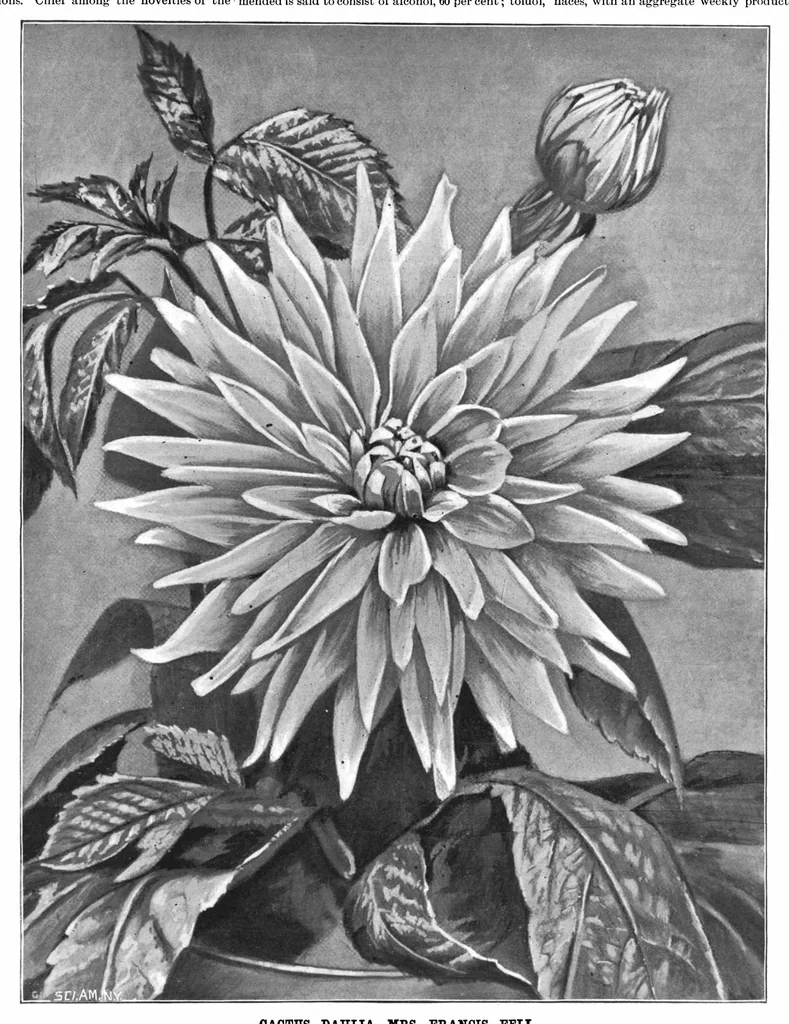 An illustration from Scientific American, Vol. 72, No. 5 (1895), 1895, leaf 10