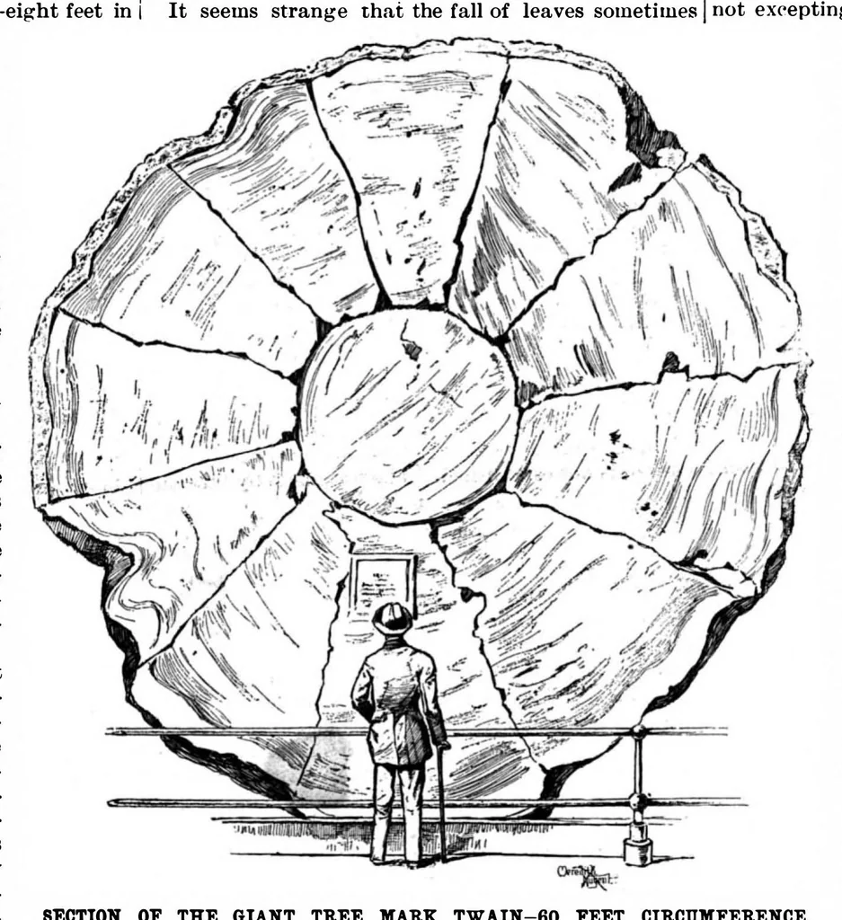 An illustration from Scientific American, Vol. 72, No. 6 (1895), 1895, leaf 10