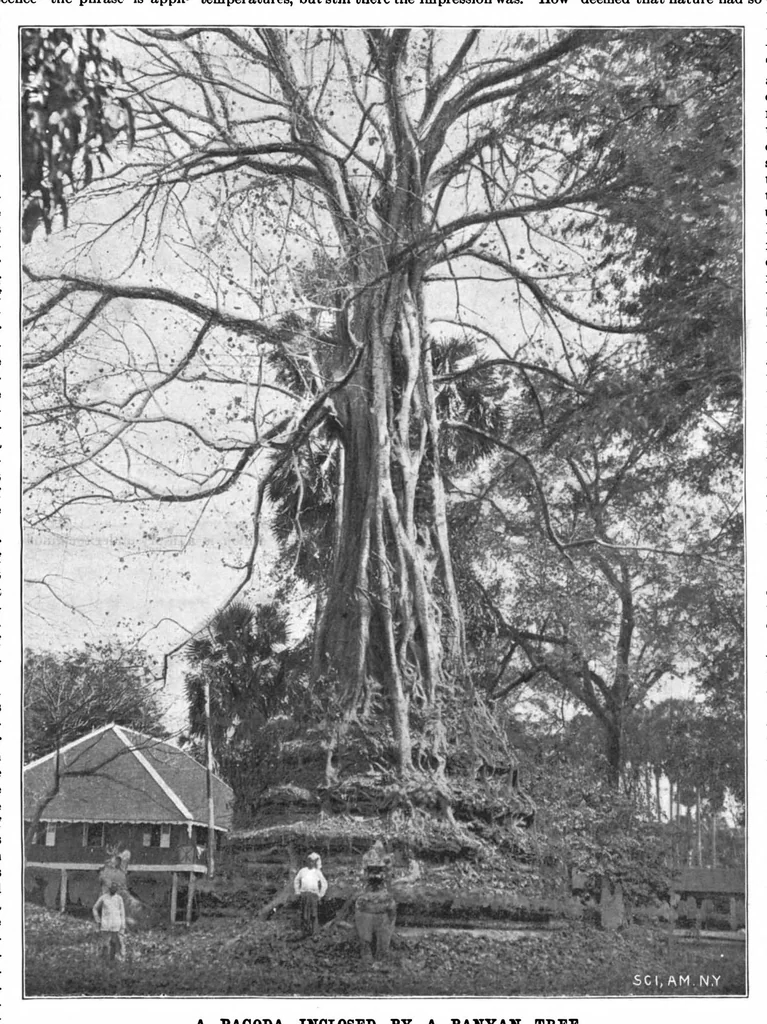 An illustration from Scientific American, Vol. 72, No. 6 (1895), 1895, leaf 8