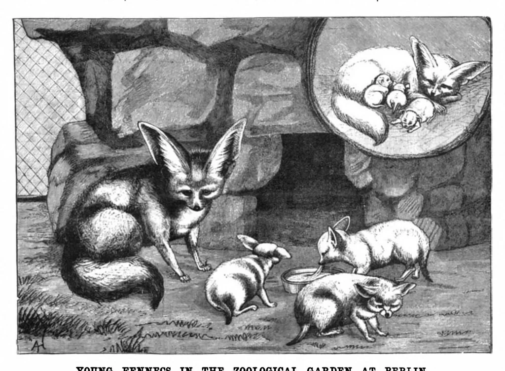 An illustration from Scientific American, Vol. 72, No. 9 (1895), 1895, leaf 10