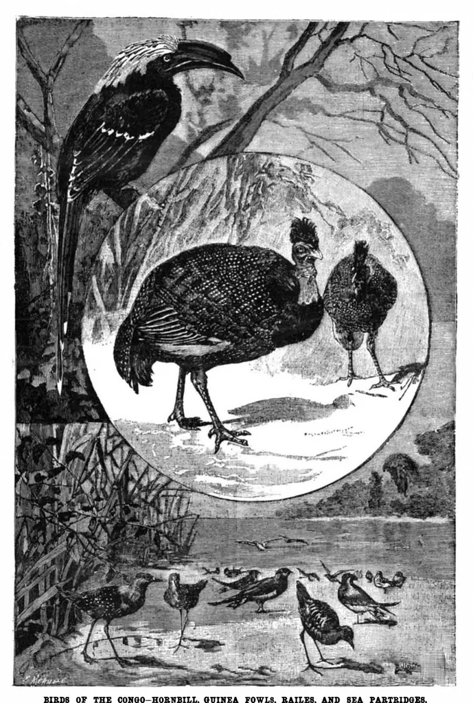 An illustration from Scientific American, Vol. 72, No. 11 (1895), 1895, leaf 8