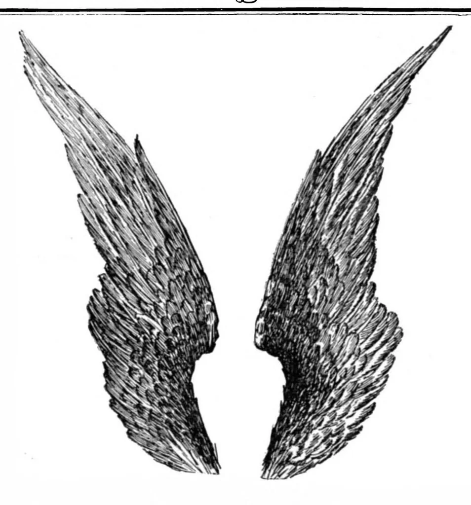 An illustration from Scientific American, Vol. 72, No. 15 (1895), 1895, leaf 15