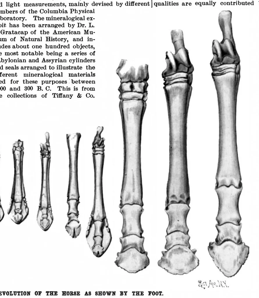 An illustration from Scientific American, Vol. 72, No. 15 (1895), 1895, leaf 8