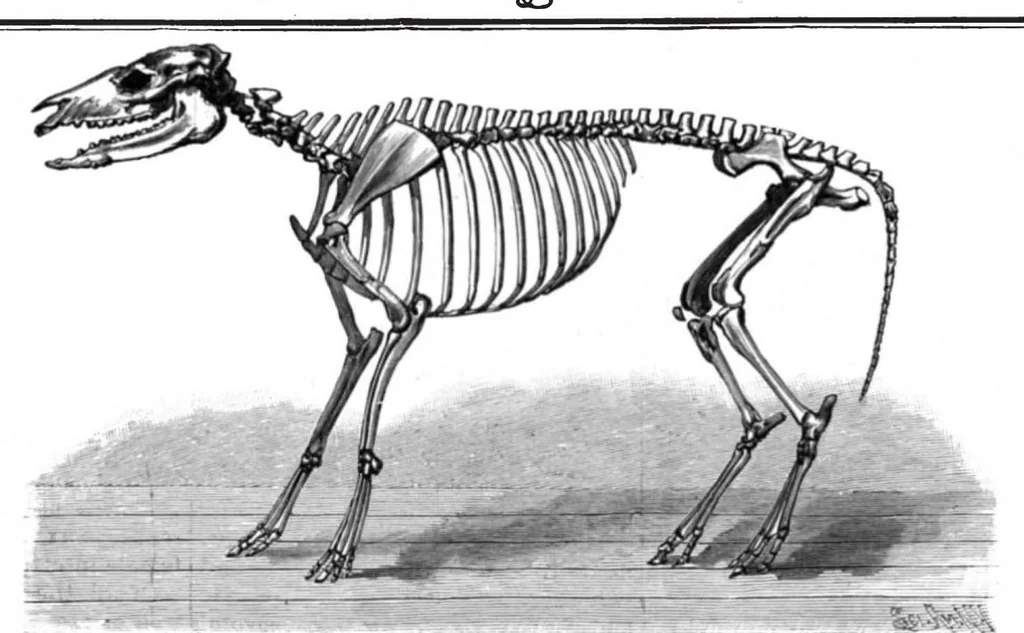 An illustration from Scientific American, Vol. 72, No. 15 (1895), 1895, leaf 8