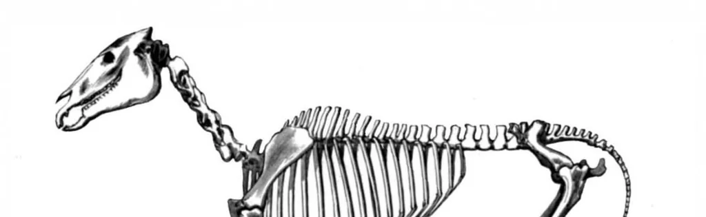 An illustration from Scientific American, Vol. 72, No. 15 (1895), 1895, leaf 8