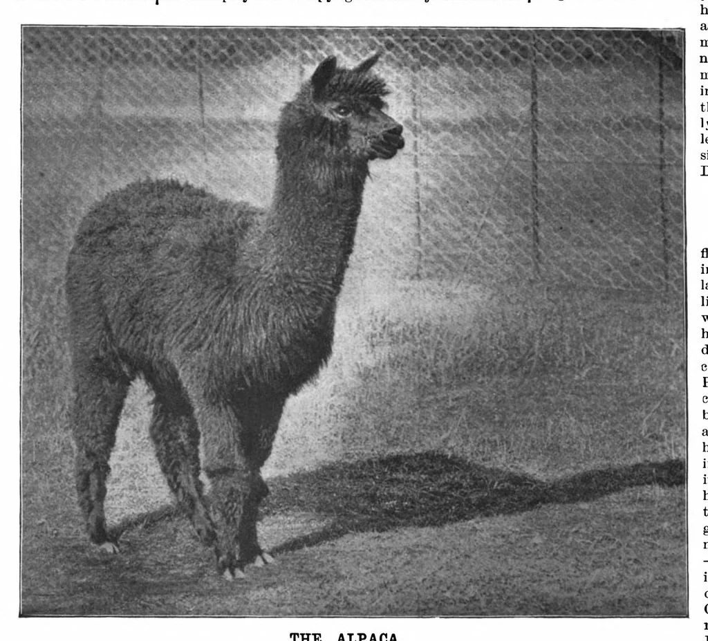 An illustration from Scientific American, Vol. 72, No. 17 (1895), 1895, leaf 8