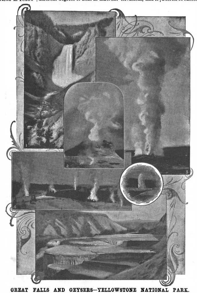 An illustration from Scientific American, Vol. 72, No. 26 (1895), 1895, leaf 7