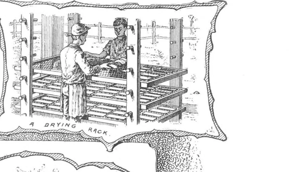 An illustration from Scientific American, Vol. 73, No. 8 (1895), 1895, leaf 4