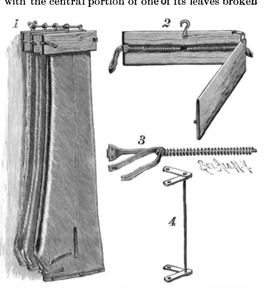 An illustration from Scientific American, Vol. 73, No. 10 (1895), 1895, leaf 3