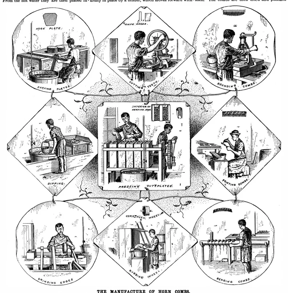 An illustration from Scientific American, Vol. 73, No. 12 (1895), 1895, leaf 3