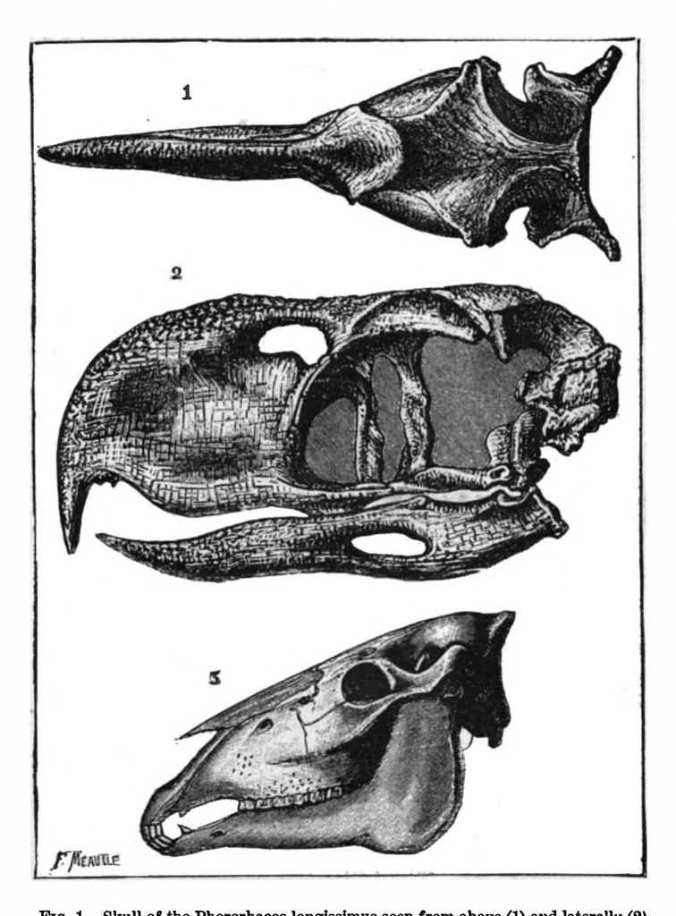 An illustration from Scientific American, Vol. 73, No. 13 (1895), 1895, leaf 9