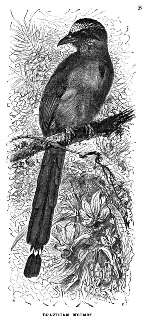 An illustration from Scientific American, Vol. 73, No. 15 (1895), 1895, leaf 10