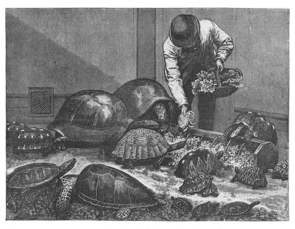 An illustration from Scientific American, Vol. 73, No. 16 (1895), 1895, leaf 10