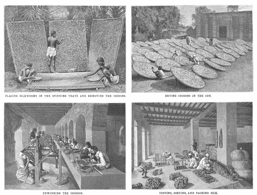 An illustration from Scientific American, Vol. 73, No. 18 (1895), 1895, leaf 4