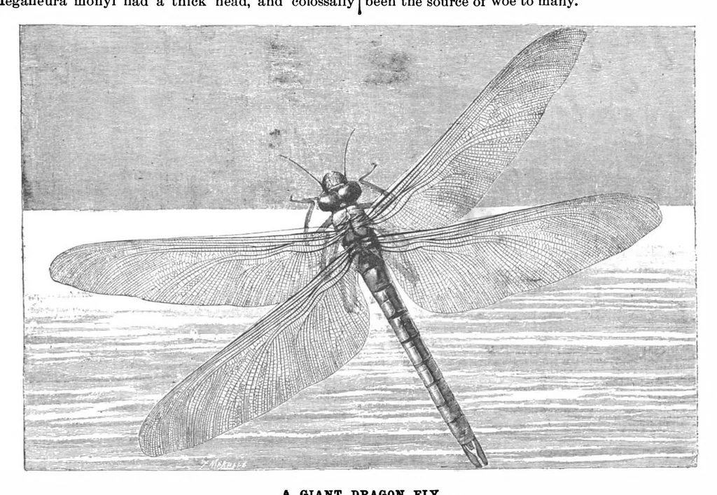 An illustration from Scientific American, Vol. 73, No. 19 (1895), 1895, leaf 3