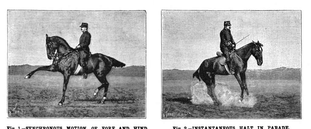 An illustration from Scientific American, Vol. 73, No. 24 (1895), 1895, leaf 4
