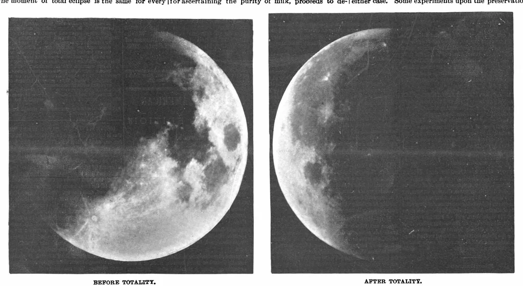 An illustration from Scientific American, Vol. 73, No. 25 (1895), 1895, leaf 10