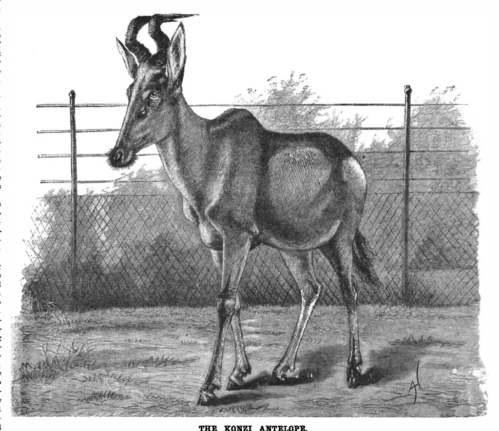 An illustration from Scientific American, Vol. 74, No. 7 (1896), 1896, leaf 10