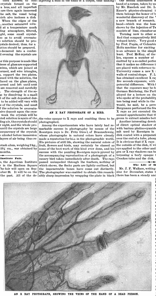 An illustration from Scientific American, Vol. 74, No. 10 (1896), 1896, leaf 10