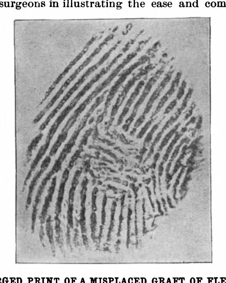 An illustration from Scientific American, Vol. 74, No. 11 (1896), 1896, leaf 7