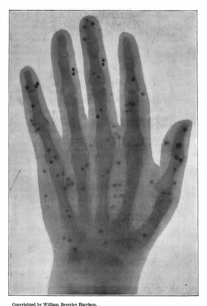 An illustration from Scientific American, Vol. 74, No. 12 (1896), 1896, leaf 7