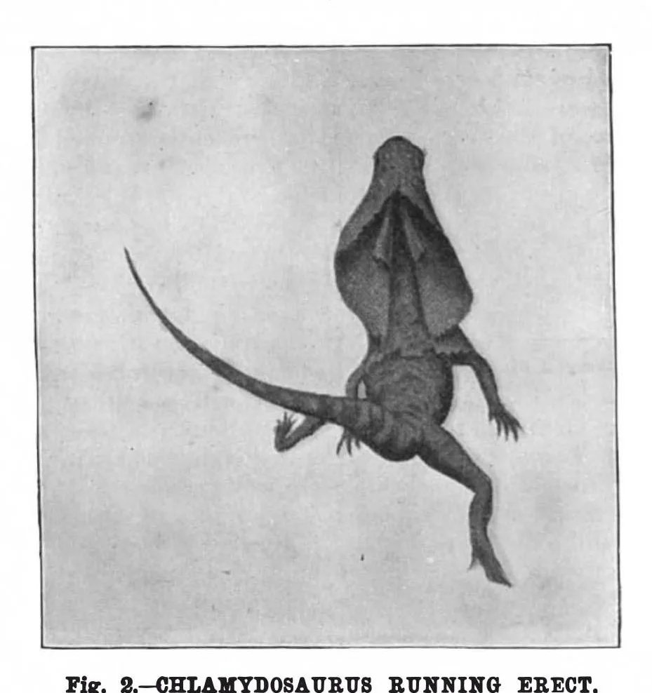 An illustration from Scientific American, Vol. 74, No. 14 (1896), 1896, leaf 8
