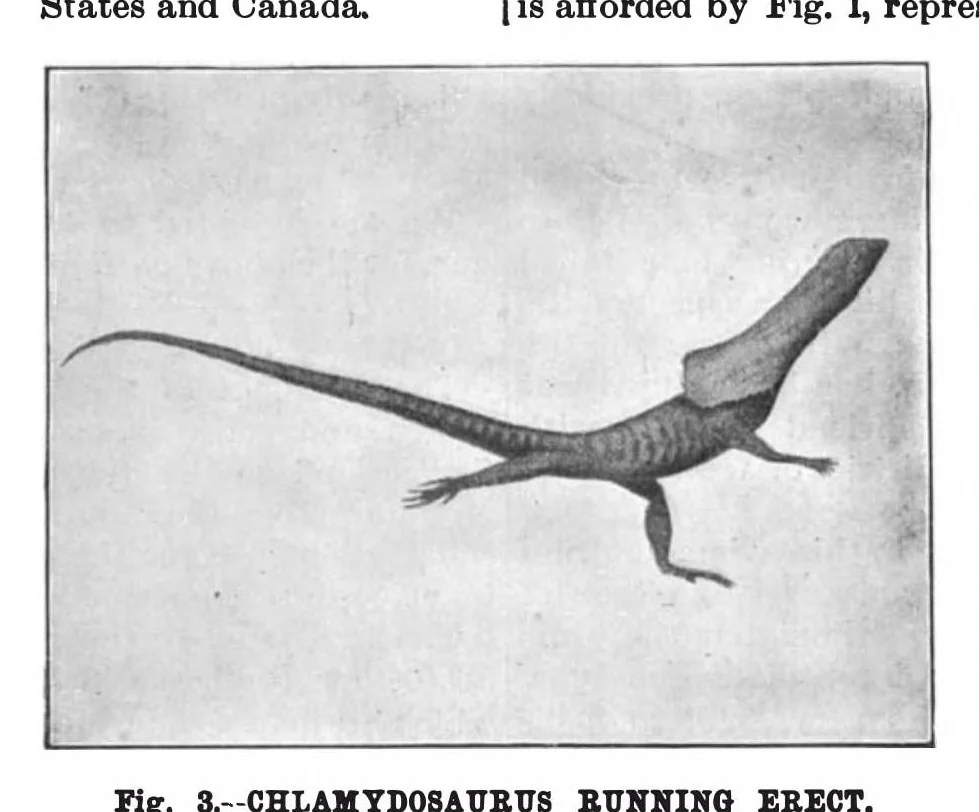An illustration from Scientific American, Vol. 74, No. 14 (1896), 1896, leaf 8