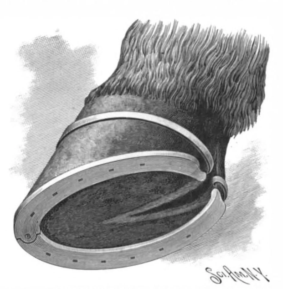 An illustration from Scientific American, Vol. 74, No. 16 (1896), 1896, leaf 3
