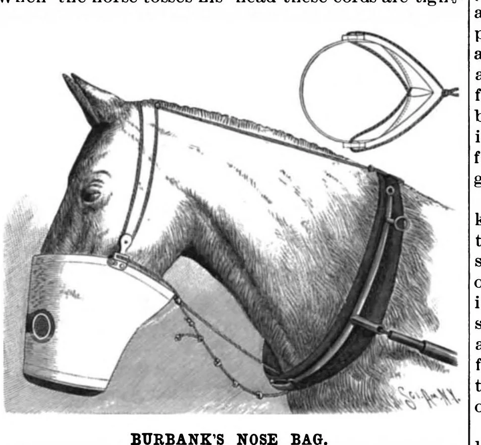 An illustration from Scientific American, Vol. 74, No. 18 (1896), 1896, leaf 5