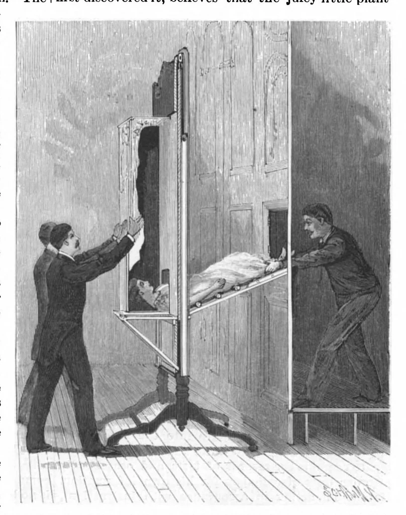An illustration from Scientific American, Vol. 74, No. 19 (1896), 1896, leaf 8