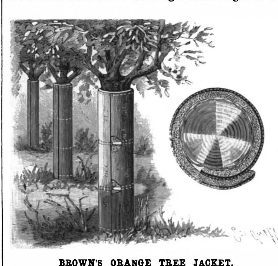 An illustration from Scientific American, Vol. 74, No. 24 (1896), 1896, leaf 7